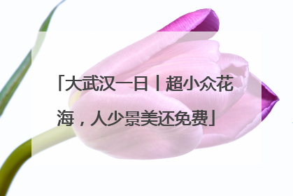 大武汉一日丨超小众花海，人少景美还免费