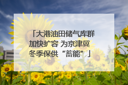 大港油田储气库群加快扩容 为京津冀冬季保供“蓄能”
