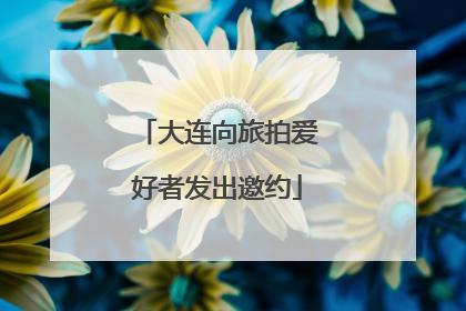 大连向旅拍爱好者发出邀约