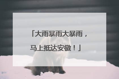 大雨暴雨大暴雨，马上抵达安徽！