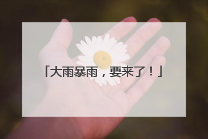 大雨暴雨，要来了！