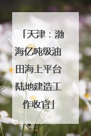天津：渤海亿吨级油田海上平台陆地建造工作收官