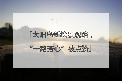 太阳岛新绘景观路，“一路芳心”被点赞