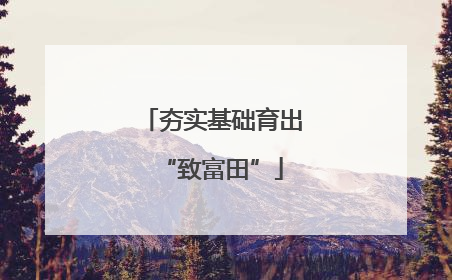 夯实基础育出“致富田”