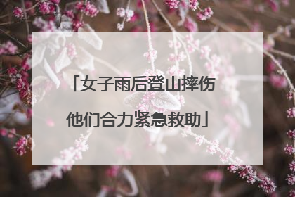 女子雨后登山摔伤 他们合力紧急救助
