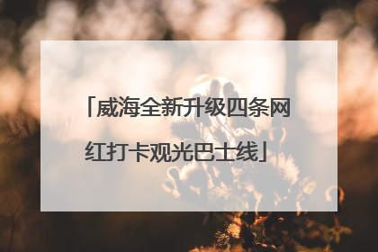 威海全新升级四条网红打卡观光巴士线