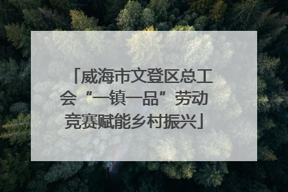 威海市文登区总工会“一镇一品”劳动竞赛赋能乡村振兴