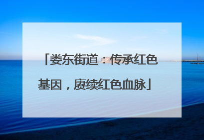 娄东街道：传承红色基因，赓续红色血脉