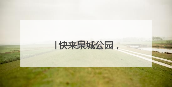 快来泉城公园，赴一场与荷花的浪漫之约吧！