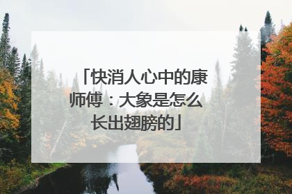 快消人心中的康师傅：大象是怎么长出翅膀的