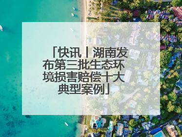 快讯丨湖南发布第三批生态环境损害赔偿十大典型案例
