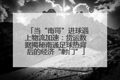 当“南哥”进球遇上物流加速：货运数据揭秘南通足球热背后的经济“射门”