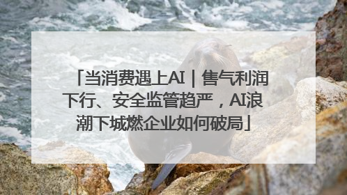 当消费遇上AI｜售气利润下行、安全监管趋严，AI浪潮下城燃企业如何破局