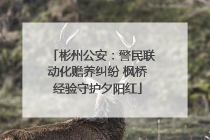 彬州公安：警民联动化赡养纠纷 枫桥经验守护夕阳红