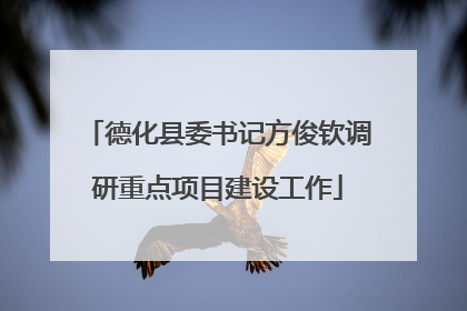 德化县委书记方俊钦调研重点项目建设工作