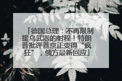 德国总理：不再限制援乌武器的射程！特朗普批评普京正变得“疯狂”，俄方最新回应
