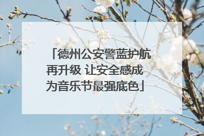 德州公安警蓝护航再升级 让安全感成为音乐节最强底色