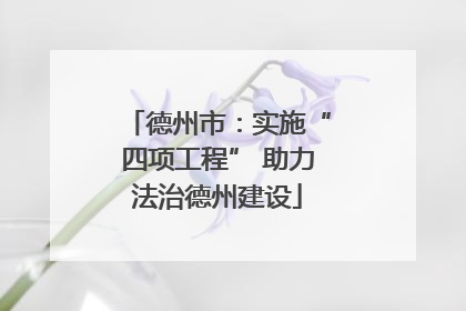 德州市：实施“四项工程” 助力法治德州建设