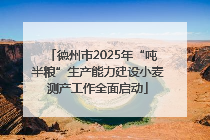 德州市2025年“吨半粮”生产能力建设小麦测产工作全面启动