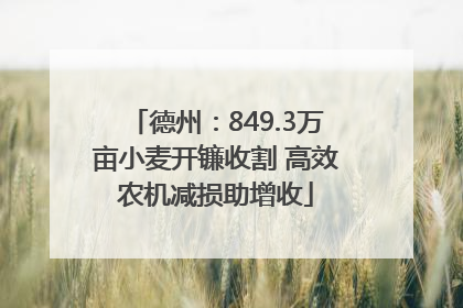 德州：849.3万亩小麦开镰收割 高效农机减损助增收