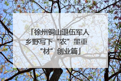 徐州铜山退伍军人乡野写下“农”墨重“材”创业篇