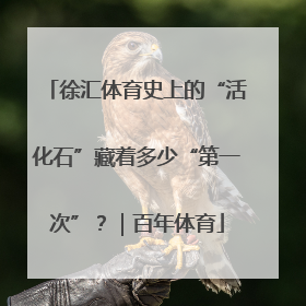 徐汇体育史上的“活化石”藏着多少“第一次”？｜百年体育