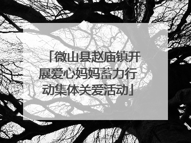 微山县赵庙镇开展爱心妈妈蓄力行动集体关爱活动