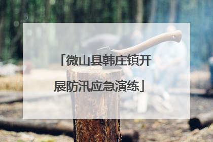 微山县韩庄镇开展防汛应急演练