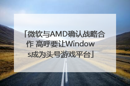 微软与AMD确认战略合作 高呼要让Windows成为头号游戏平台