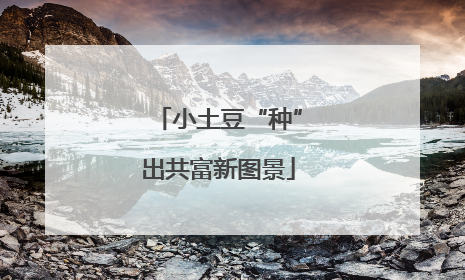 小土豆“种”出共富新图景