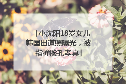 小沈阳18岁女儿韩国出道照曝光，被指撞脸孔孝真