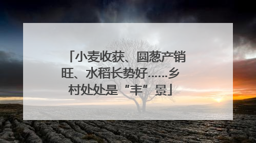 小麦收获、圆葱产销旺、水稻长势好……乡村处处是“丰”景