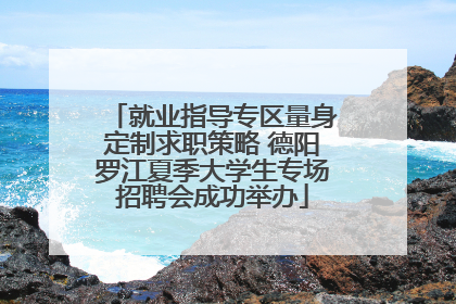 就业指导专区量身定制求职策略 德阳罗江夏季大学生专场招聘会成功举办