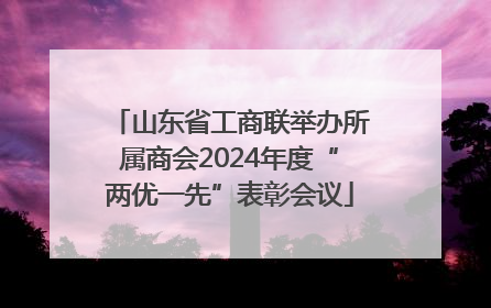 山东省工商联举办所属商会2024年度“两优一先”表彰会议