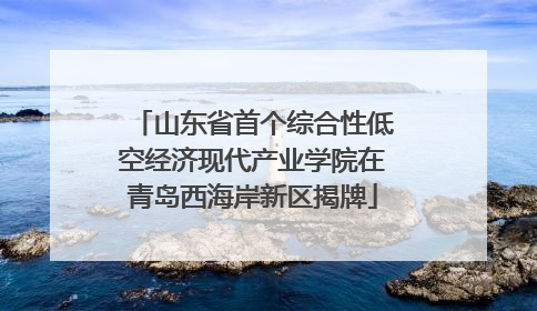 山东省首个综合性低空经济现代产业学院在青岛西海岸新区揭牌