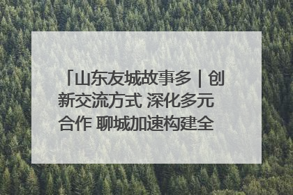 山东友城故事多｜创新交流方式 深化多元合作 聊城加速构建全球友城新格局