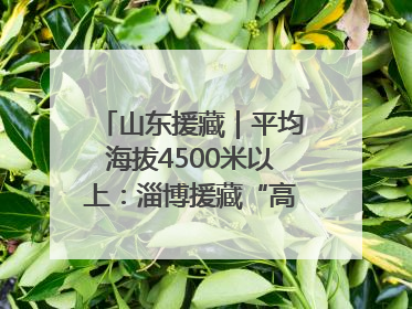 山东援藏｜平均海拔4500米以上：淄博援藏“高”在哪里？
