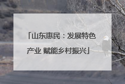 山东惠民：发展特色产业 赋能乡村振兴