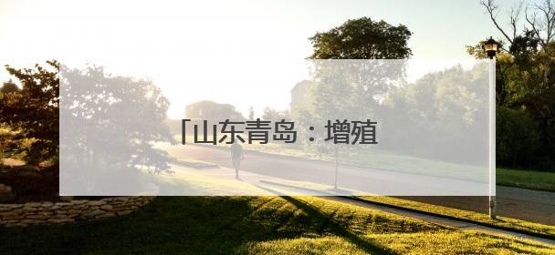山东青岛：增殖放流 修复生态