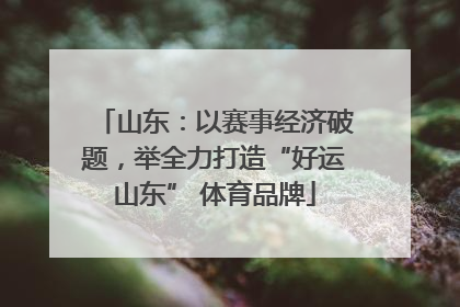 山东：以赛事经济破题，举全力打造“好运山东” 体育品牌