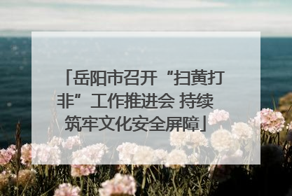 岳阳市召开“扫黄打非”工作推进会 持续筑牢文化安全屏障