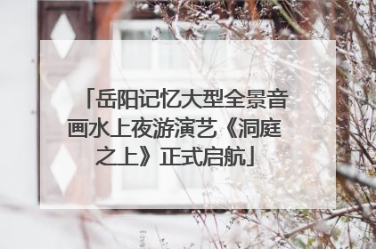 岳阳记忆大型全景音画水上夜游演艺《洞庭之上》正式启航