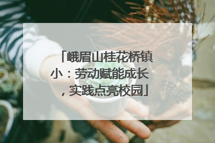 峨眉山桂花桥镇小：劳动赋能成长，实践点亮校园
