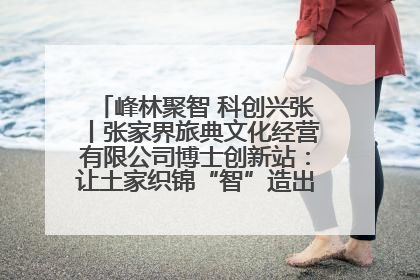峰林聚智 科创兴张丨张家界旅典文化经营有限公司博士创新站：让土家织锦“智”造出非遗新传奇