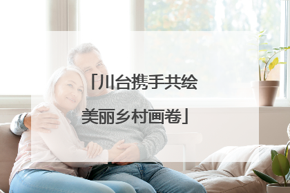 川台携手共绘美丽乡村画卷