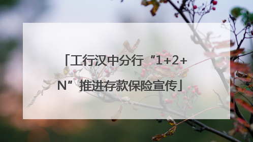 工行汉中分行“1+2+N”推进存款保险宣传