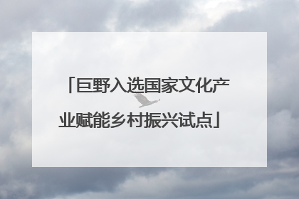 巨野入选国家文化产业赋能乡村振兴试点