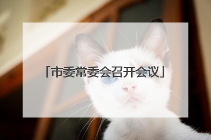 市委常委会召开会议