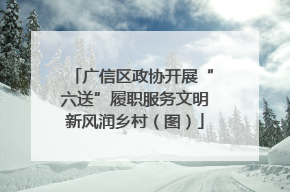 广信区政协开展“六送”履职服务文明新风润乡村（图）