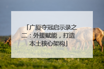 广厦夺冠启示录之二：外援赋能，打造本土核心架构